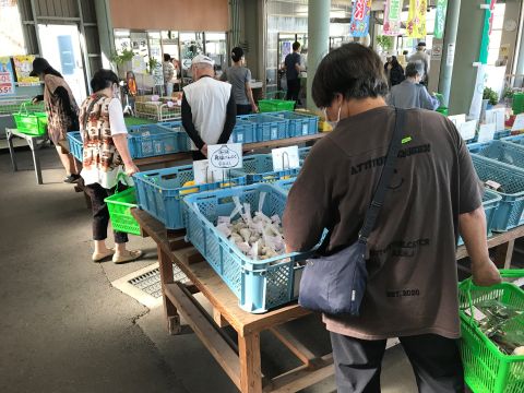 ふれあい市の様子