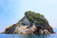通念島