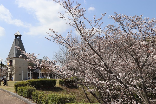 とらまる公園