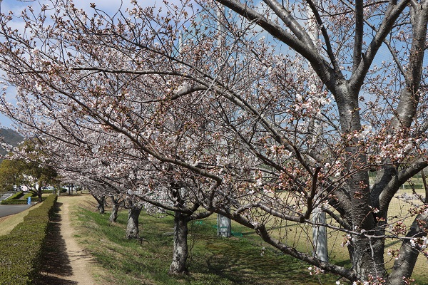 とらまる公園