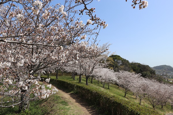 とらまる公園