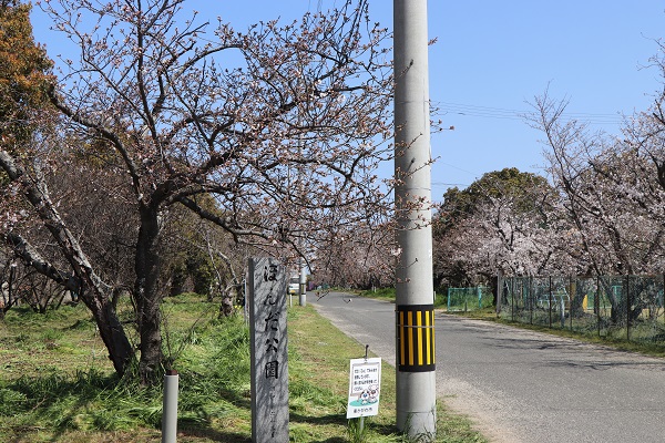 ほんだ公園