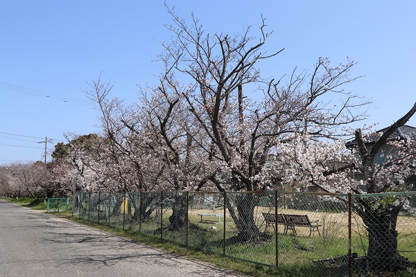 ほんだ公園