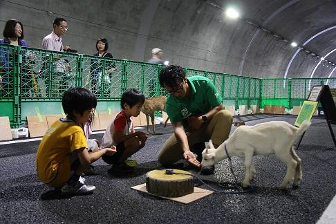 トンネルふれあい動物園でやぎに餌やりしている子どもたちの写真