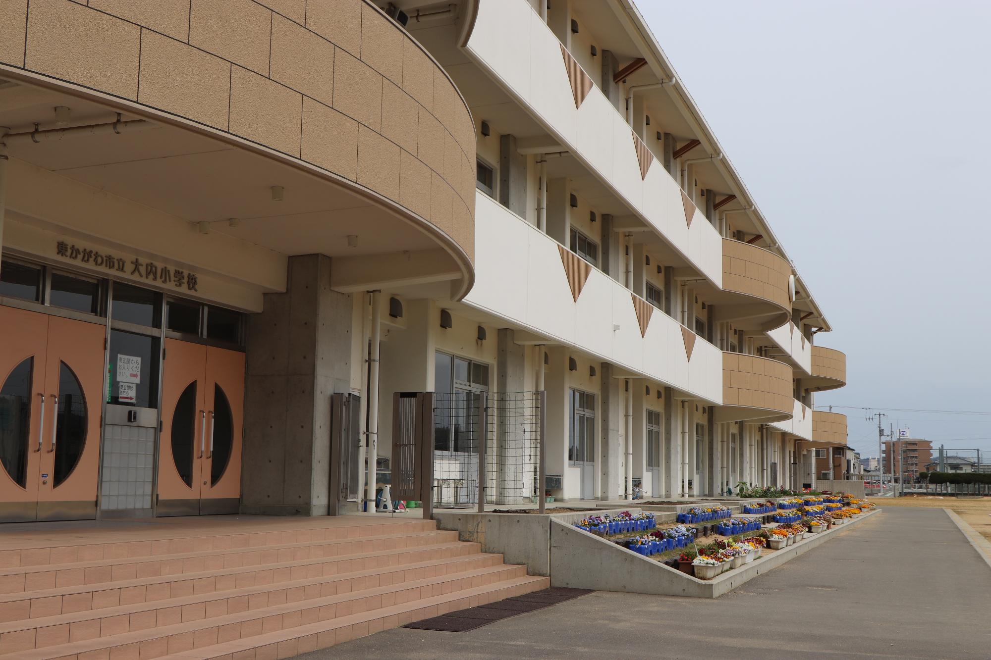 大内小学校の玄関脇に並ぶ色とりどりの花が咲いているプランターの写真