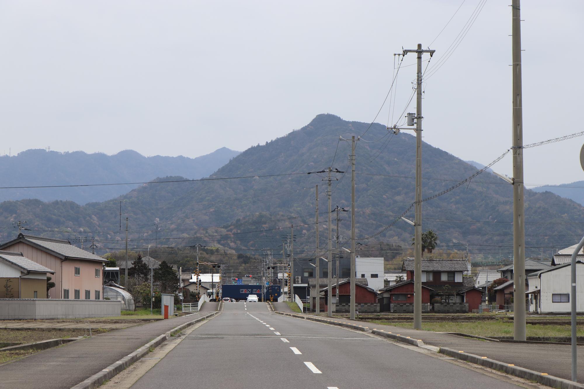 とらまる山へ向かう山の麓にピンク色に色づいたヤマザクラが見える写真