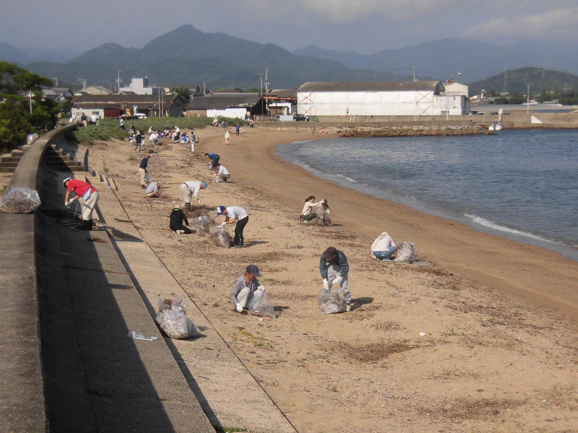 浜辺で清掃している参加者らの写真