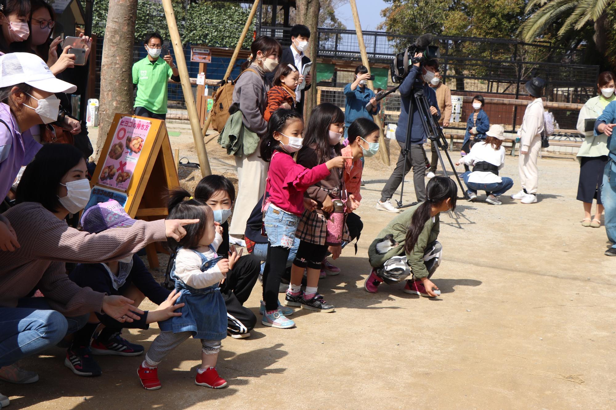 ペンギンのお披露目を待つしろとり動物園の来場者