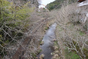 白鳥温泉施設脇に流れる川とまだ蕾状態の桜の木の写真