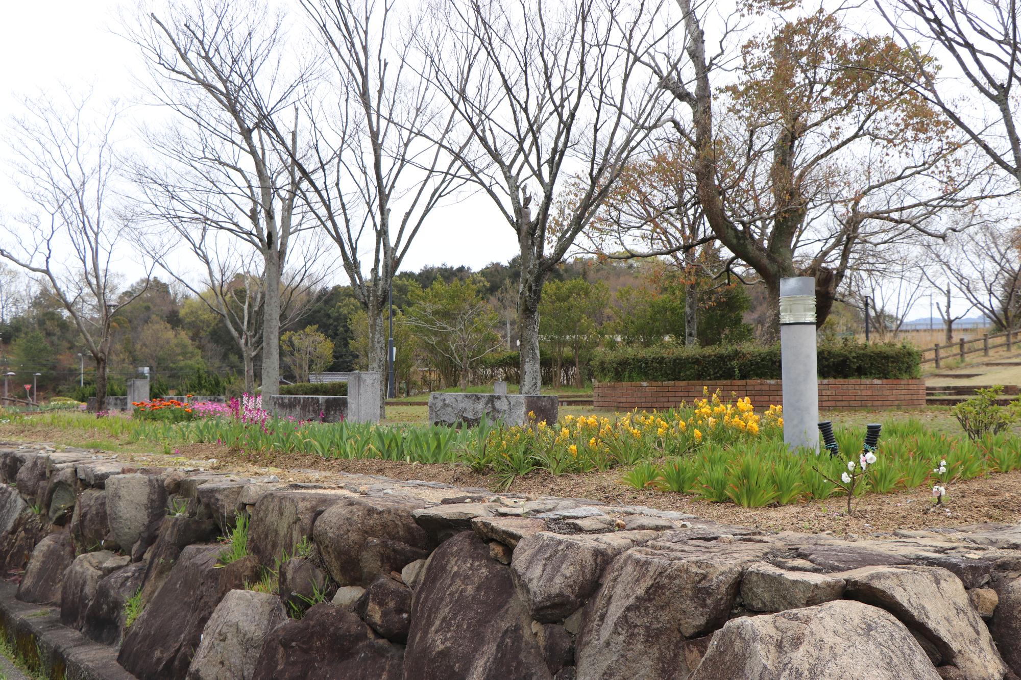 とらまる公園の花壇に黄色やピンク色の花がきれいに咲いている様子の写真