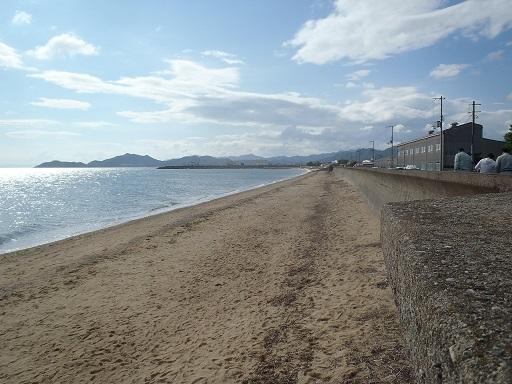 綺麗になった海岸の写真