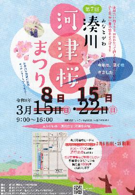第7回湊川河津桜まつり