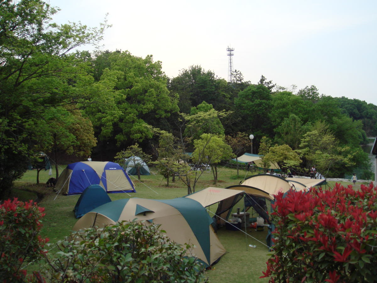 とらまる公園キャンプ場の芝生にテントを複数設置している写真